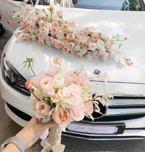 Mẫu 97